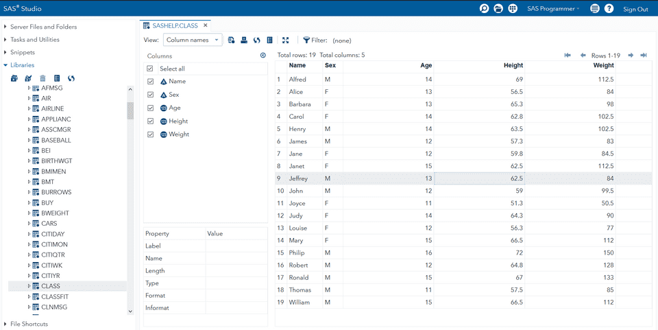 CLASS table opened in SAS